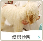 健康診断
