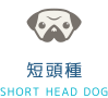 短頭種